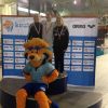 Minioren-Junioren-Swimcup 2016-2017